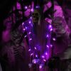 Purple Halloween Spider Lights.png
