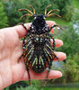 beetle bead embroidery pin  2.jpg