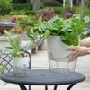 XpDOSelf-Watering-Flower-Pot-Plastic-Hydroponics-Plants-Pot-Transparent-Double-Layer-Cotton-Rope-Watering-Succulent-Potted.jpg