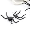 vzphHalloween-Funny-Spider-Stud-Earrings-Woman-3D-Creepy-Black-Spider-Ear-Stud-Earrings-Halloween-Costumes-Party.jpg