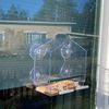 uSkwAcrylic-Clear-Glass-Window-Birds-Hanging-Feeder-Birdhouse-Food-Feeding-House-Table-Seed-Peanut-Suction-Cup.jpeg