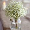 mNyW30Heads-29cm-Babies-Breath-Artificial-Flowers-Plastic-Gypsophila-DIY-Floral-Bouquets-Arrangement-for-Wedding-Home-Decoration.jpg