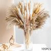 UGl3105pcs-Natural-Dried-Flowers-Pampas-Floral-Bouquet-Boho-Country-Home-Decoration-Rabbit-Tail-Grass-Reed-Wedding.jpg