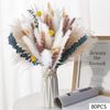 mldL105pcs-Natural-Dried-Flowers-Pampas-Floral-Bouquet-Boho-Country-Home-Decoration-Rabbit-Tail-Grass-Reed-Wedding.jpg