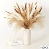4Wsp105pcs-Natural-Dried-Flowers-Pampas-Floral-Bouquet-Boho-Country-Home-Decoration-Rabbit-Tail-Grass-Reed-Wedding.jpg