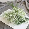 hw5F1Pc-Artificial-Flowers-Plastic-Gypsophila-DIY-Floral-Bouquets-Arrangement-64cm-For-Wedding-Festive-Home-Decoration.jpeg
