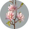 DckgArtificial-Flowers-Magnolia-Real-Touch-Bouquet-For-Floral-Arrangement-Home-Office-Living-Room-Kitchen-Home-Farmhouse.jpg