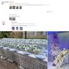 eIfA10-Heads-Bunch-Artificial-Rose-Bouquet-Bride-Holding-Flowers-Wedding-Floral-Arrangement-Accessories-Room-Home-Decor.jpg