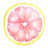 10-rogue-pink-lemon-slice-clipart-clear-background-fruit-png-images.jpg