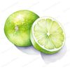 2-cut-open-lime-clipart-transparent-background-png-ripe-citrus.jpg