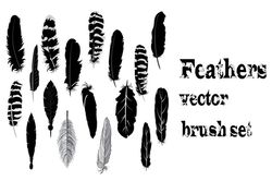 Feathers brush set for Adobe Illustrator