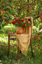 photo red zinnias bouquet in apple garden, digital photography, flowers photo download, still life fine art