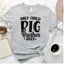Big Brother 2023 T-Shirt,Not Only Child Shirt,Promoted to Big Brother Sweatshirt,Baby Announcement Gift,Birth Reveal Shi