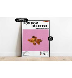 Aquarium Fish Poster, Chocolate Pom Pom Goldfish Aquarium