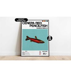 Aquarium Fish Poster, Cenepa Red Pencilfish Aquarium Poster,