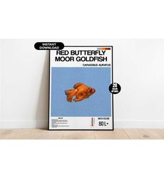 Aquarium Fish Poster, Red Butterfly Moor Goldfish Aquarium