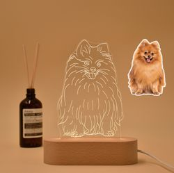 Custom 3D Pet Photo Night Light, Cat Dog 3D Photo Lamp, Cat Night Light