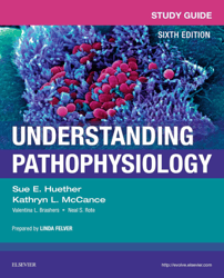 Test Bank For Understanding Pathophysiology 7th Edition