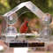 Pa7iAcrylic-Clear-Glass-Window-Birds-Hanging-Feeder-Birdhouse-Food-Feeding-House-Table-Seed-Peanut-Suction-Cup.jpg