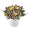 IpxrAutumn-Artificial-Flowers-Rose-Silk-Bride-Bouquet-Fake-Floral-Garden-Party-Home-DIY-Decoration-Small-White.jpg