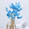 gDHY30-60pcs-Dried-Flower-Rabbit-Tail-Bouquet-Home-Decor-Natural-Fluffy-Pampas-Floral-Arrangement-Rustic-Wedding.jpg