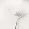 VdxRPU-Real-Touch-Artificial-Flower-Heaven-Bird-Plants-Party-Wedding-Floral-Arrangement-Materials-Home-Decor-Photo.jpg
