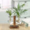 pQ8OTerrarium-Hydroponic-Plant-Vases-Vintage-Flower-Pot-Transparent-Vase-Wooden-Frame-Glass-Tabletop-Plants-Bonsai-Home.jpg