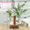 HCzMTerrarium-Hydroponic-Plant-Vases-Vintage-Flower-Pot-Transparent-Vase-Wooden-Frame-Glass-Tabletop-Plants-Bonsai-Home.jpg