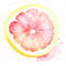 4-pink-lemon-clipart-png-transparent-background-citrus-fruit-slice.jpg