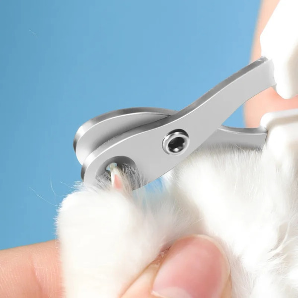 RuV1Professional-Cat-Nail-Clippers-for-Small-Cat-Dog-Stainless-Steel-Puppy-Claws-Cutter-Pet-Nail-Grooming.jpg