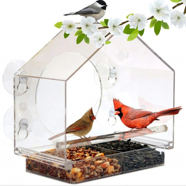rBL9Acrylic-Clear-Glass-Window-Birds-Hanging-Feeder-Birdhouse-Food-Feeding-House-Table-Seed-Peanut-Suction-Cup.jpg