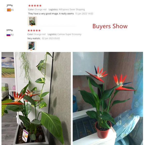 loOuPU-Real-Touch-Artificial-Flower-Heaven-Bird-Plants-Party-Wedding-Floral-Arrangement-Materials-Home-Decor-Photo.jpg