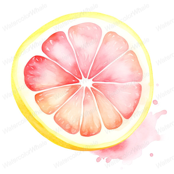 4-pink-lemon-clipart-png-transparent-background-citrus-fruit-slice.jpg