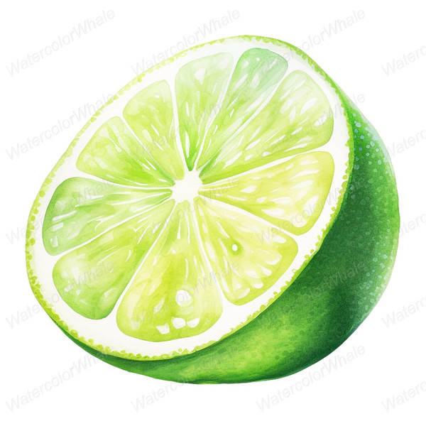 10-half-lime-cut-open-clipart-transparent-png-watercolor-painting.jpg