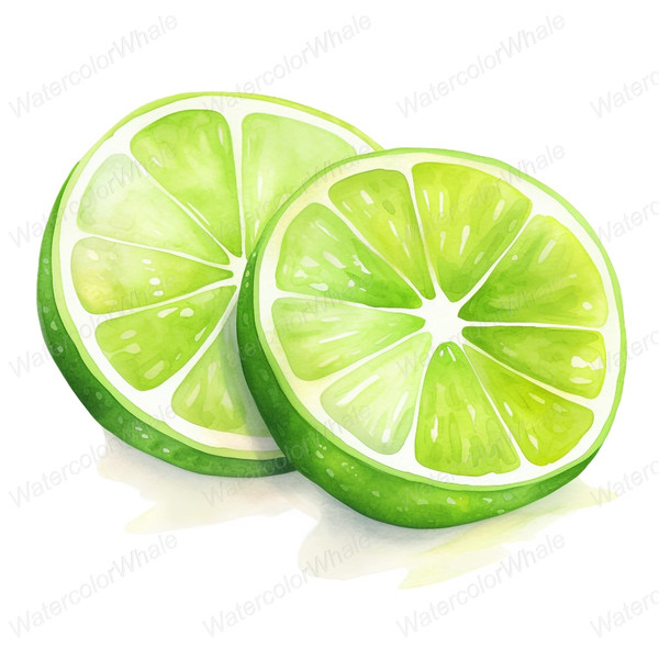 7-lime-slices-clipart-png-transparent-background-fresh-citrus-images.jpg