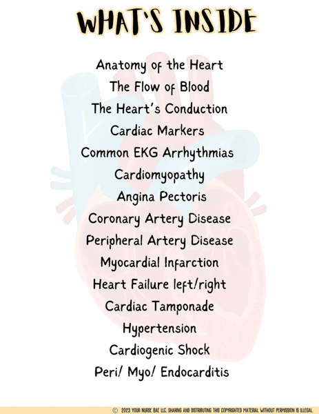 Cardiac Study Guide (4).png