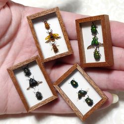 Dollhouse Curiosities Cabinet 1:12 scale, Collection dollhouse insect taxidermy, Set of 4 items