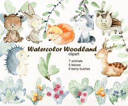 Watercolor Woodland clipart.
