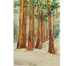 Sequoia Painting Trees Watercolor Landscape Original Art 12 by 8 Winter Forest Wall Art
