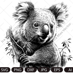 Koala svg file, Koala detailed file, Animal Face svg , Cute Koala svg, Koala Face svg, Animal svg file, Australia svg fi