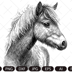 Beautiful horse svg ,file for cricut , Horse SVG, Horse head svg,Pony svg eps dxf png instant download, Mustang, horse l