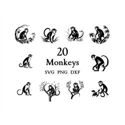 Monkey Svg, Monkey Bundle, Monkey clipart, Monkey png,  Monkey Cut Files for Cricut,  Cute Monkey, Baby Monkey, Svg Bund