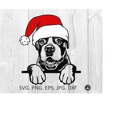 Boxer santa claus svg,png,vector clipart.Boxer hat santa svg.Christmas Boxer Santa digital download.Cute puppy Boxer.scr