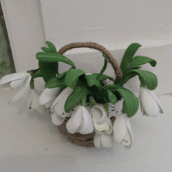 A bouquet of delicate handmade snowdrops in a basket