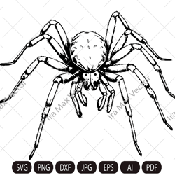 Spider SVG, Spider Design Svg, Spider detailed, Spider Dxf, Spider Png, Spider Clipart, Spider Files