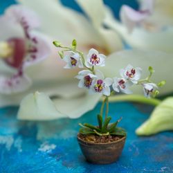 TUTORIAL Miniature orchid with air dry clay | Dollhouse miniatures | Miniature plant tutorial