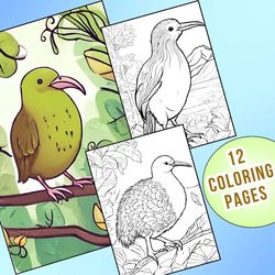12 Adorable Kiwi Bird Coloring Pages That Will Brighten Your Day