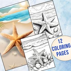 12 Stunning Starfish Coloring Pages for Kids & Adults | Download & Color Today!