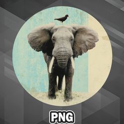 Animal Rights Awareness PNG Elephant and a black bird PNG For Sublimation Print_PNG_Design Customized For Silhoette