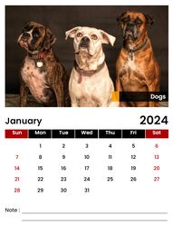 Unleash Joy Every Month with Our 2024 Dogs Calendar Digital Edition!